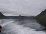 Opouštíme Ísafjörður a míříme na čtyřdenní trek napříč Hornstrandirem