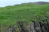 Papuchalčí útesy, Borgafjörður Eystri