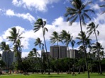 Prochzka po Waikiki, O'ahu, Hawaii