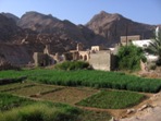 Vesnice nedaleko Qurayatu, region hlavnho msta Muscat