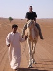 Krtka velbloud projka, psen duny Wahiba Sands, region Sharqiya