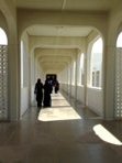 Univerzita sultna Qaboose, Muscat
