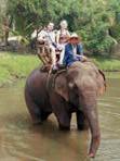 Projížďka na slonovi samozřejmě nemůže chybět