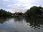 Kajakování mezi mangrovníky, Ko Lanta